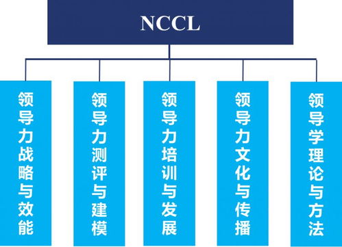 京师领导力 nccl 系列活动之文化与团队领导力 九种文化维度下的团队建设